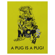 Pug of types full color flyer