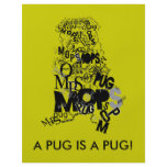 Pug of types flyers
