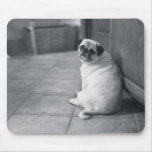 Pug on the Floor Mouse Pad