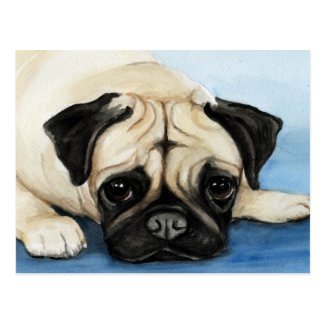 Pug Original Dog Art Postcard