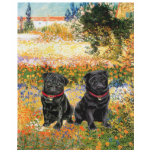 Pug Pair (black) - Garden (VG) T-shirt