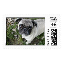 Pug Pebbles Stamp by flowingcreek Pug Pebbles Stamp