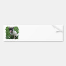 Pug Photo Bumper Sticker