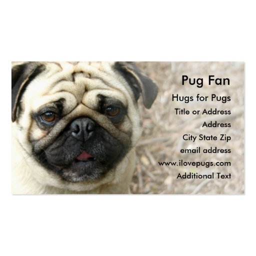 Pug Photo Business Card (front side)