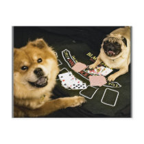 Pug Poker postcards by whatuthinkin Pug Poker postcards