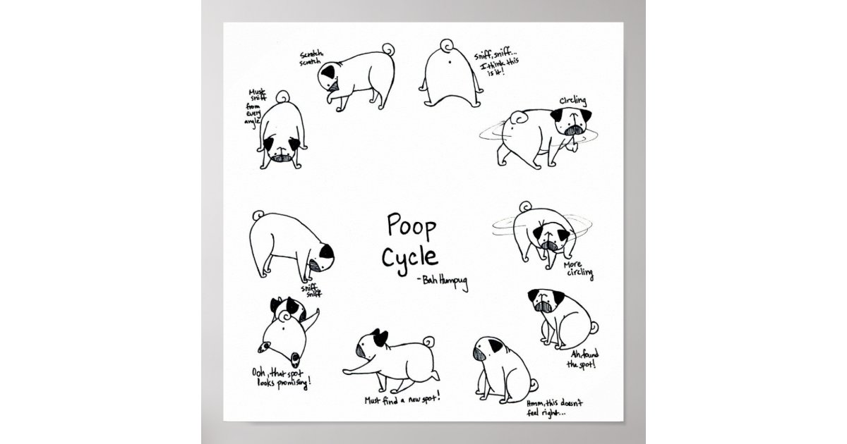 pug cycle pug cycle poster zazzle pug cycle pug cycle poster zazzle