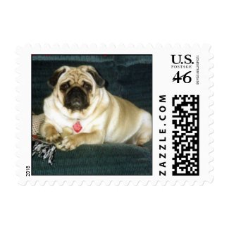 pug postage stamp