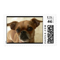 Pug. postage