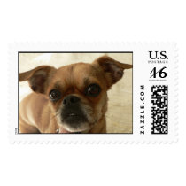 Pug. stamps
