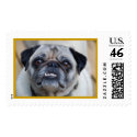 Pug postage by Fenyvessy Pug postage