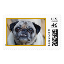 Pug postage by Fenyvessy Pug postage