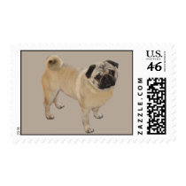 Pug Postage Stamp