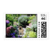 Pug Postage Stamp