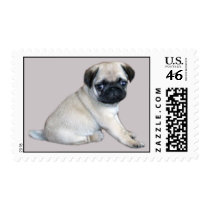 Pug Postage Stamp