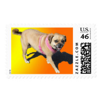 Pug Postage Stamp stamps