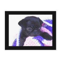 PuG PostCard