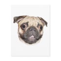 Pug postcards by CrazyGear Pug postcards