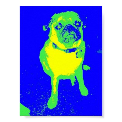 Pug Poster by crpug519