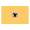 Pug posters