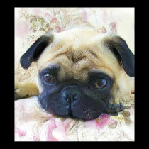 Pug Poster posters
