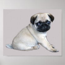 Pug Print