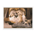 Pug Puppies postcards