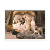 Pug Puppies postcards by VintagePets Pug Puppies postcards