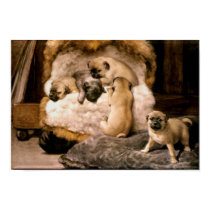 Pug Puppies Poster posters