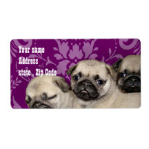 Pug Puppies Shipping labels