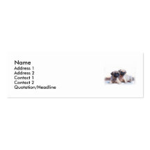 Pug puppies skinny business card