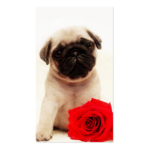 Pug puppy and red rose business card