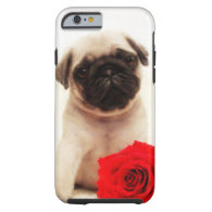 Pug puppy and rose iPhone 6 case