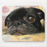 Pug Puppy Black Face Mousepad