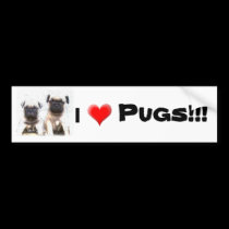 Pug puppy bumper sticker bumper stickers