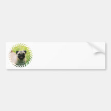 Pug Puppy Bumper Sticker