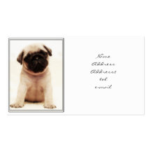 Pug puppy business card