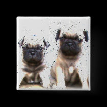 Pug puppy button buttons