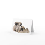 Pug Puppy Card