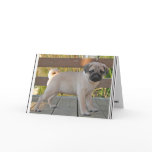 Pug Puppy cards