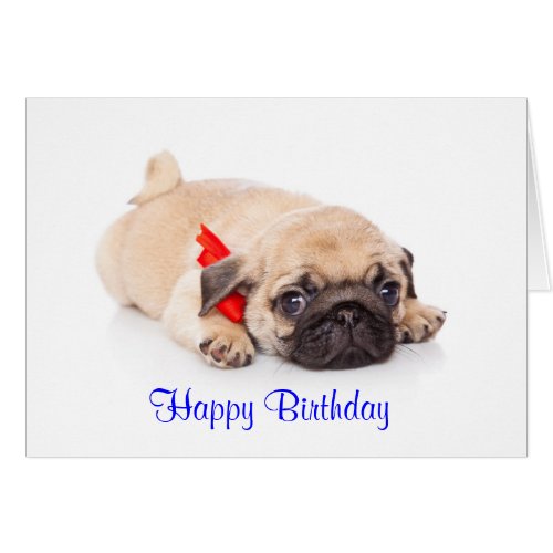 Pug Puppy Happy Birthday Card