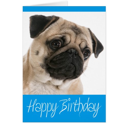 Pug Puppy Dog Happy Birthday Card
