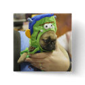Pug Puppy Frankenpug 2 Button, Pin by laserone Pug Puppy Frankenpug 2 Button, Pin