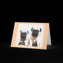 Pug puppy greeting card cards
