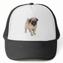 Pug Puppy Hat