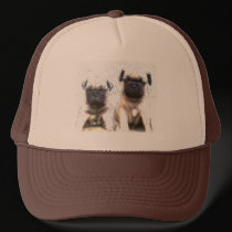 Pug puppy hat hats