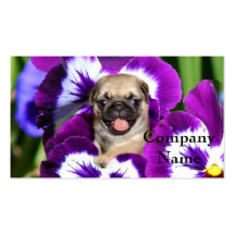 Pug puppy in pansies business card