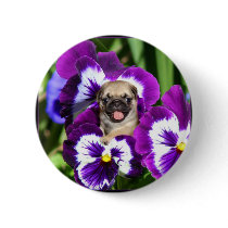 Pug puppy in pansies pins
