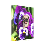 Pug puppy in pansies Canvas print