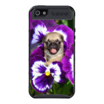 Pug puppy in pansies case for iPhone 5