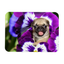Pug puppy in pansies flexible photo magnet